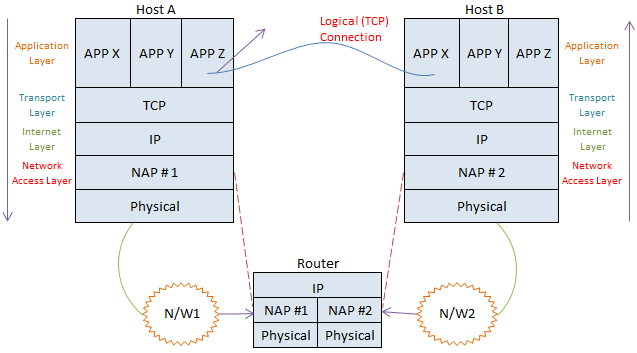 TCP/IP Protocol