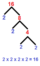 Prime Factorization Tree
