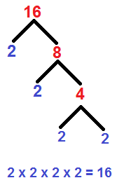 Prime Factorization Tree Prime Factorization Tree