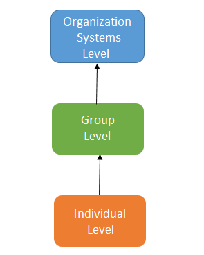 Organizational Behavior