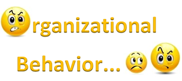 What is Organizational Behavior