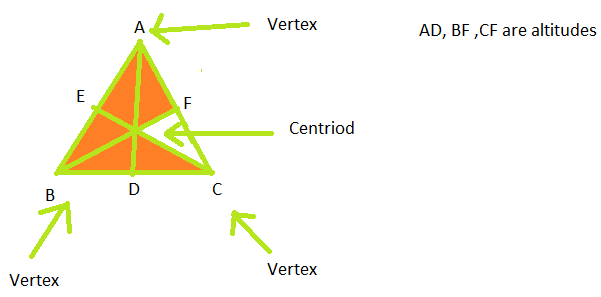 What is Ortho Centre