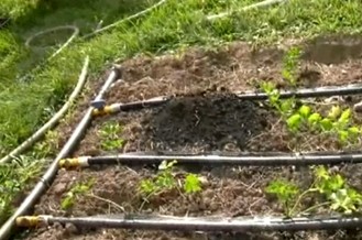 Drip Irrigation